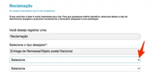 Print para selecionar o atraso da entrega 